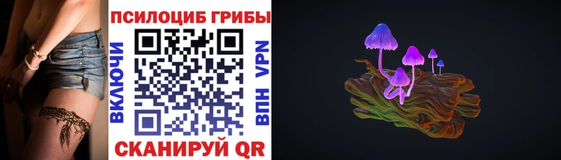 Псилоцибиновые грибы Psilocybine cubensis  где можно купить наркотик  Рыбное 